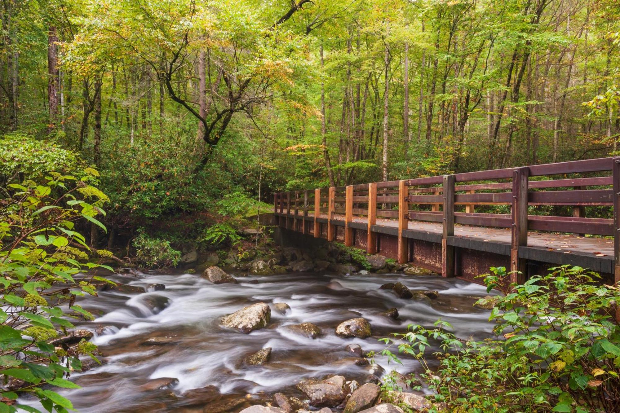 Glori'S Retreat, Game Room, 1089 Of Free Attraction Tickets For Each Paid Day, Dollywood And More Пиджен Фордж Екстериор снимка